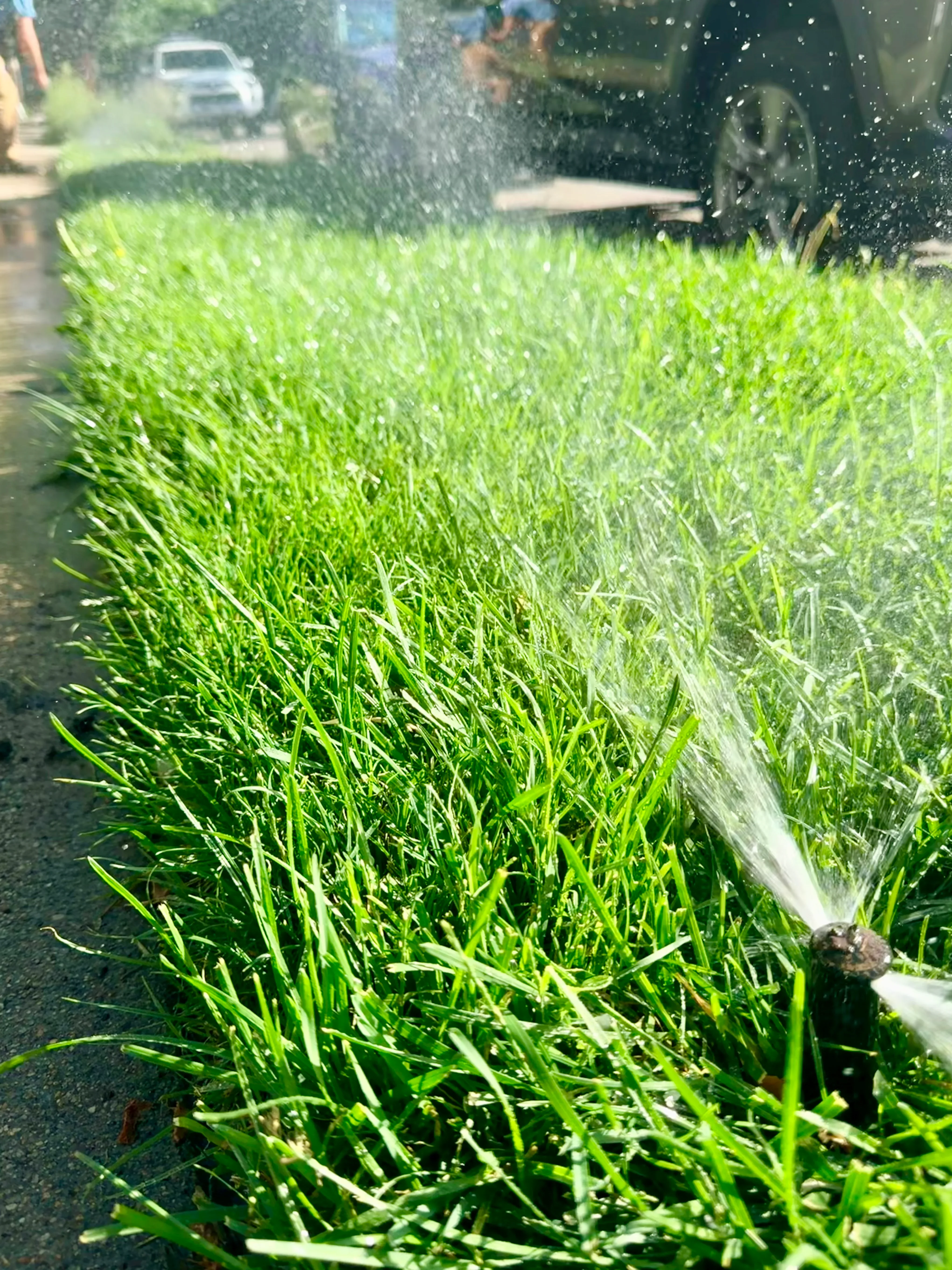 Pop-up sprinkler head actively watering lush green residential lawn