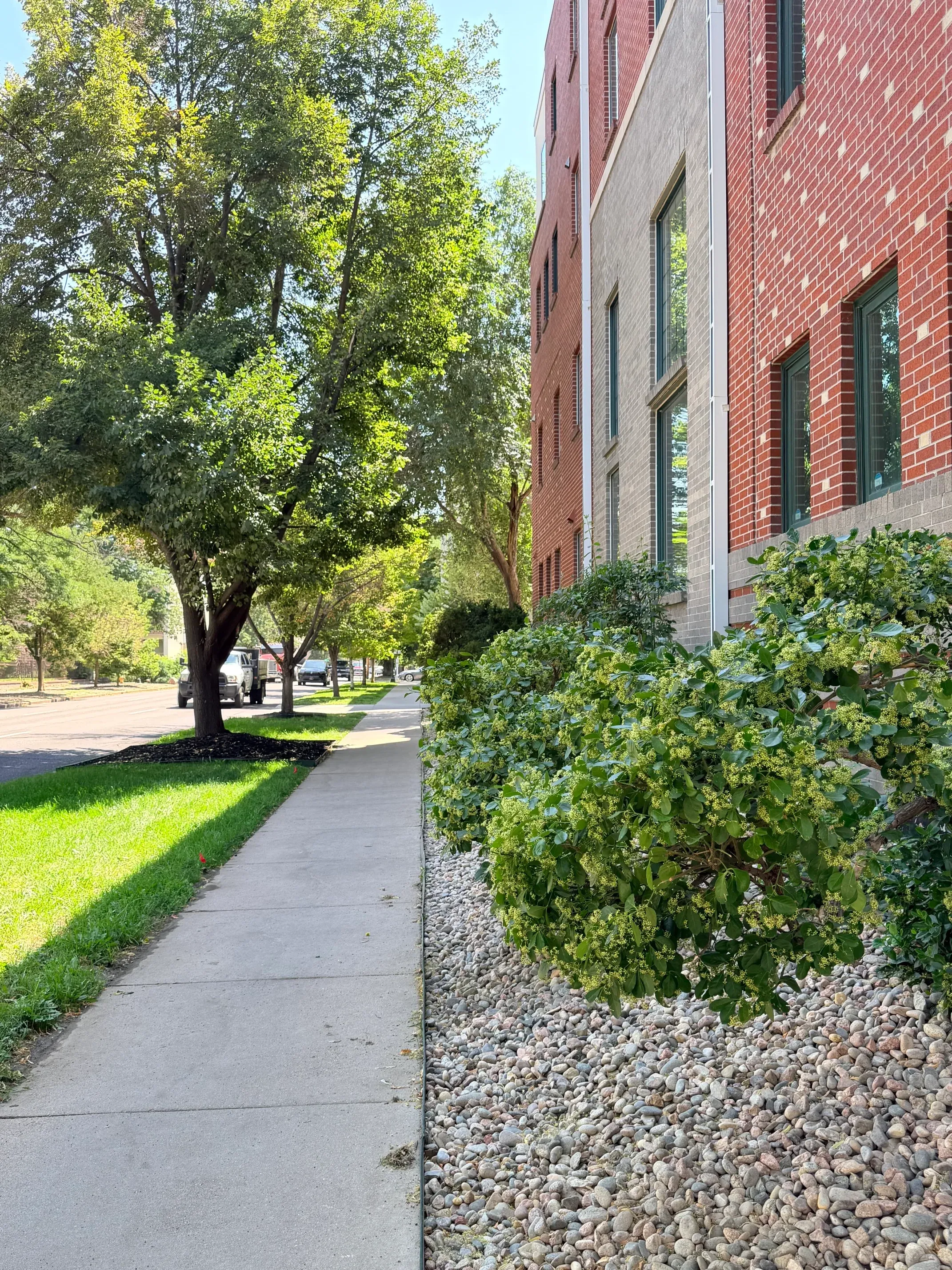 Professional landscape installation and maintenance in Denver metro area