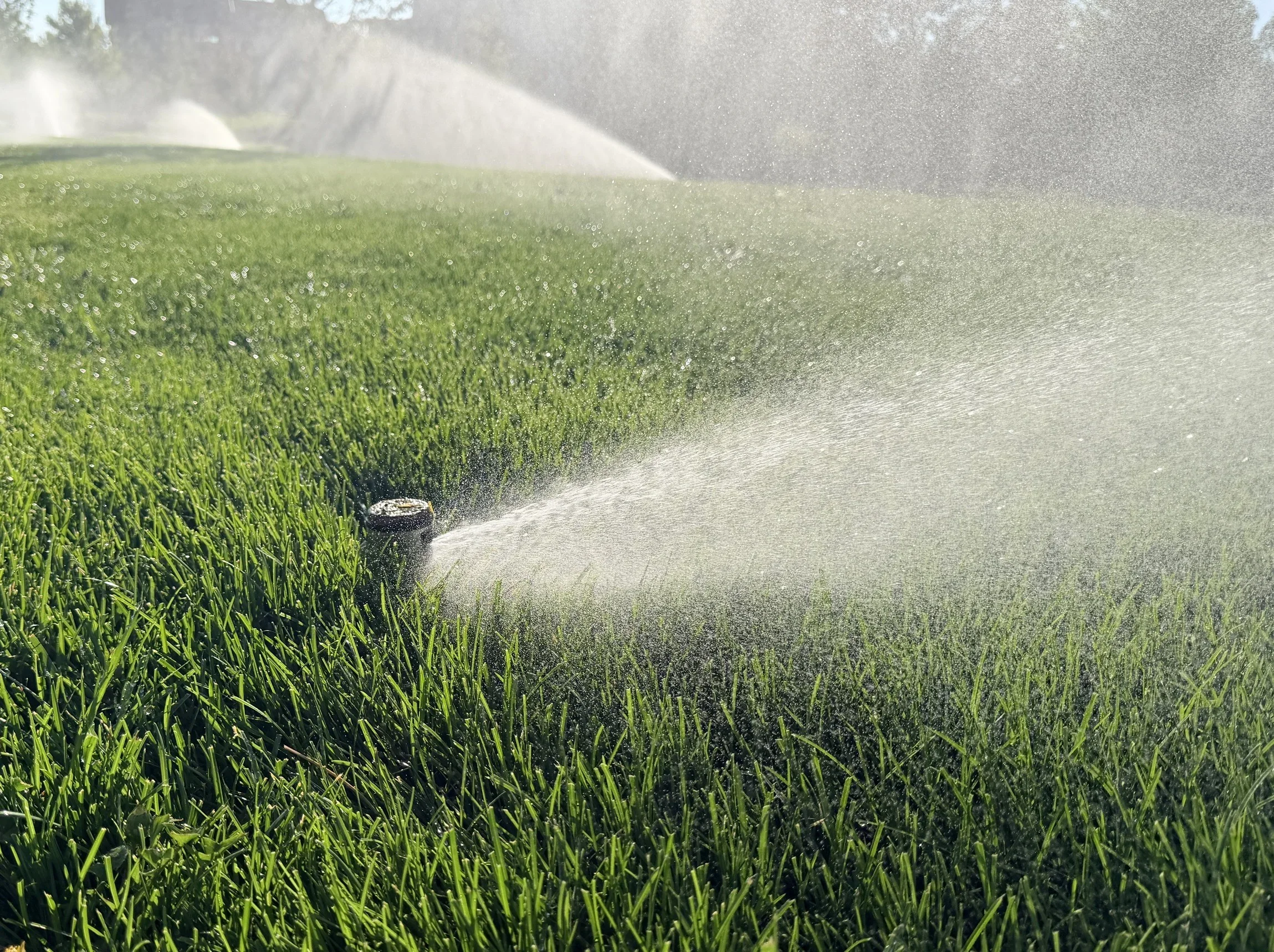 Commercial irrigation system being inspected and maintained at a Denver Metro office park by a Sentry Property Service technician