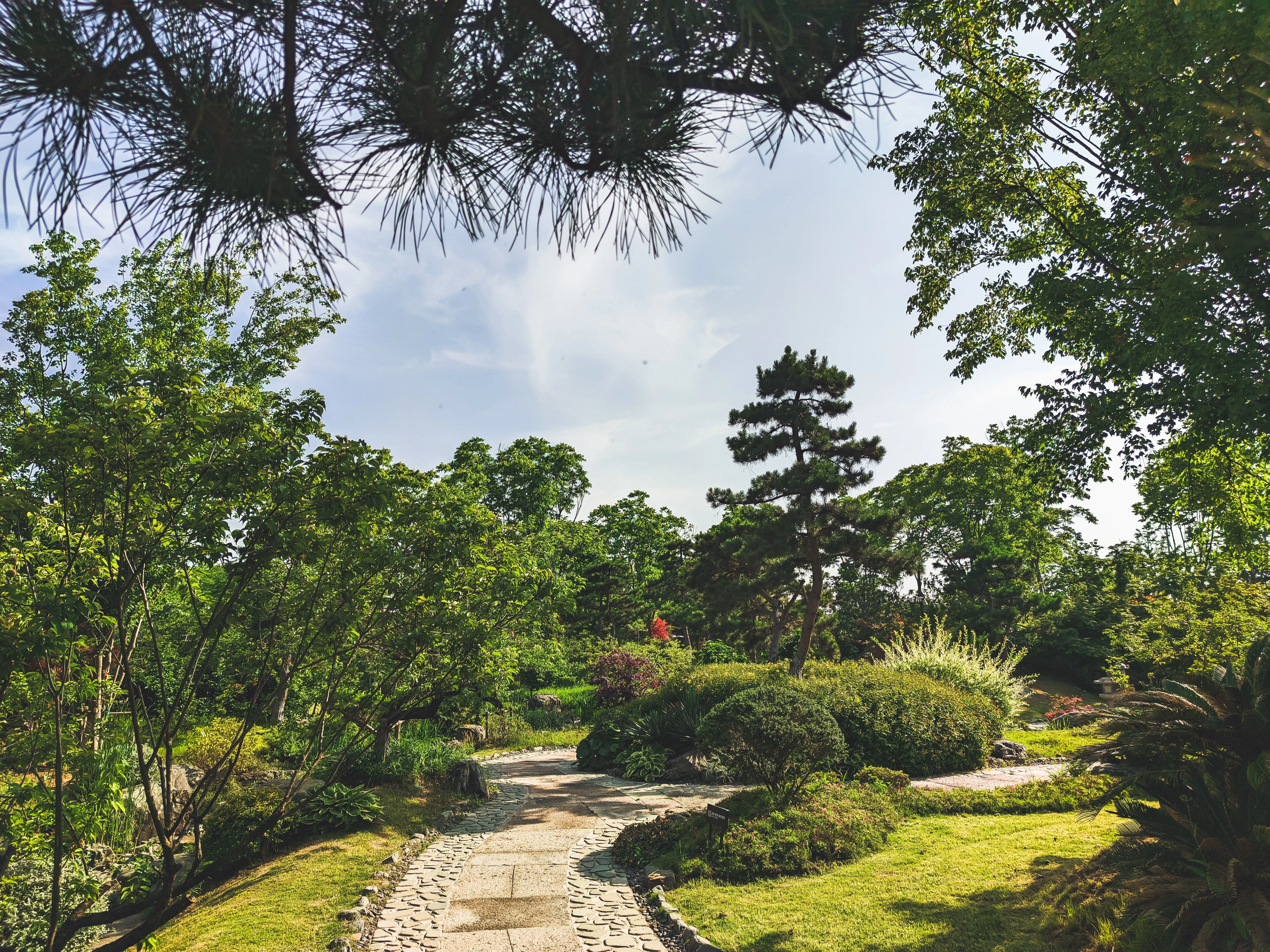 Manicured HOA common area with green lawn, maintained shrub beds, and mature trees